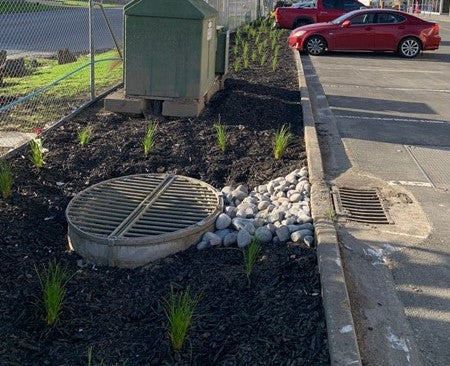 Rain Garden as part of Stormwater Maintenance Systems