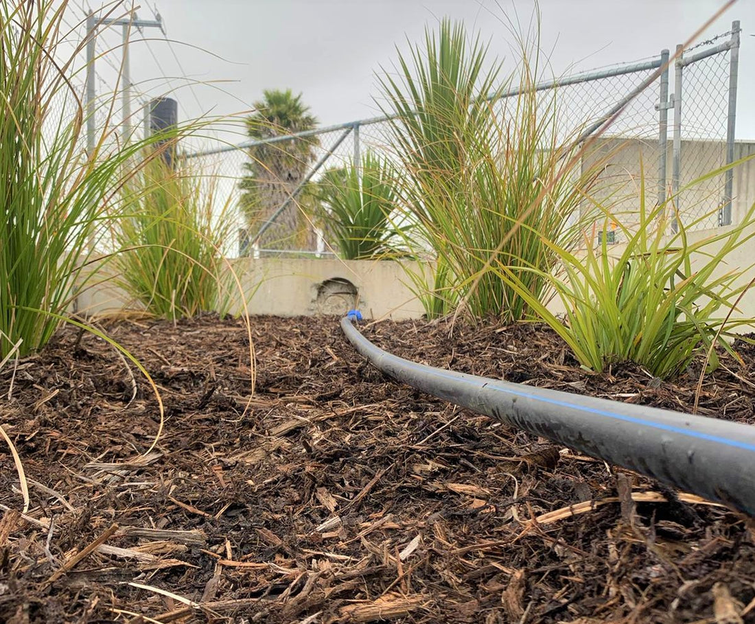 Shopping Centre Car Park Rain Gardens